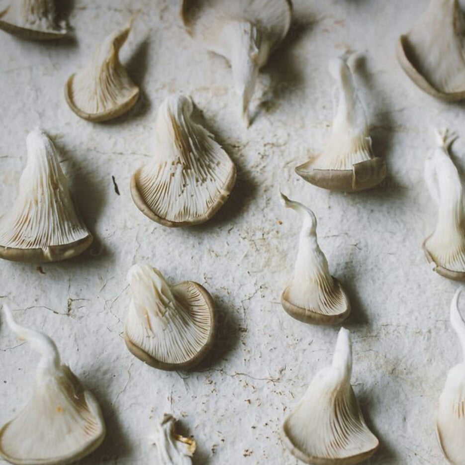 Slow Food, Fast Crop: Cultivate with Hedge